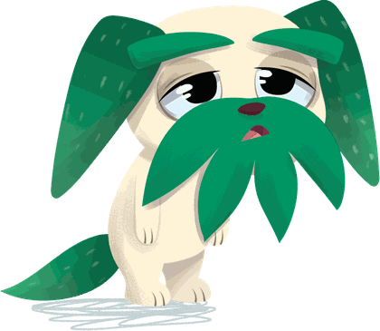 Plantánimal: Aburrimiento